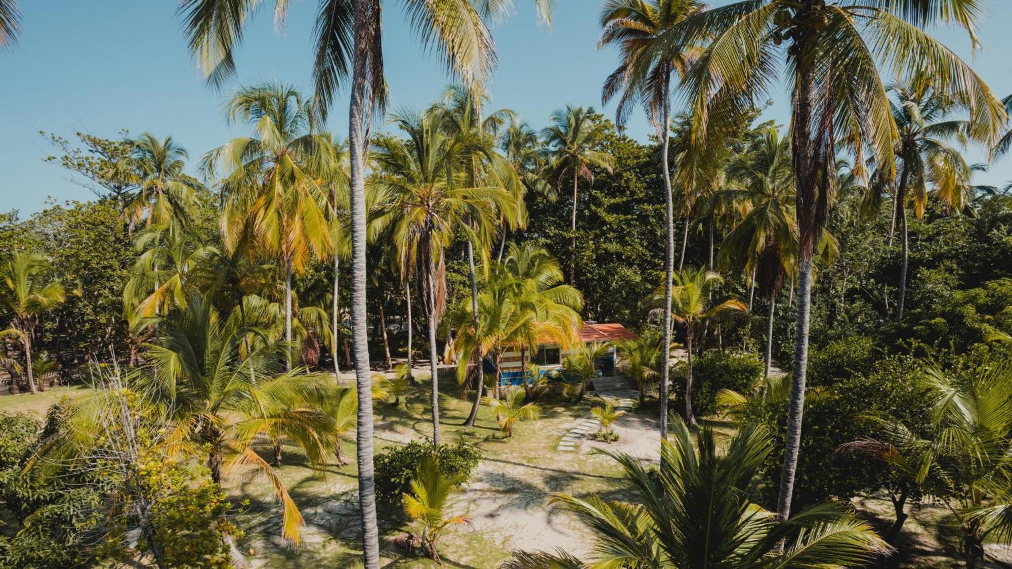 Hotel La Mar De Bien Buritaca Zewnętrze zdjęcie